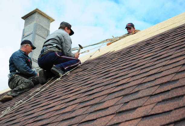 Best Shingle Roofing Installation  in Mokuleia, HI